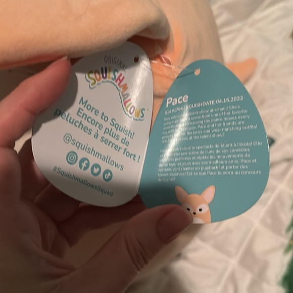 Pace Squishmallow - Picture 3 of 6